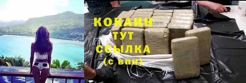 Cocaine FishScale  купить закладку  Боровичи 